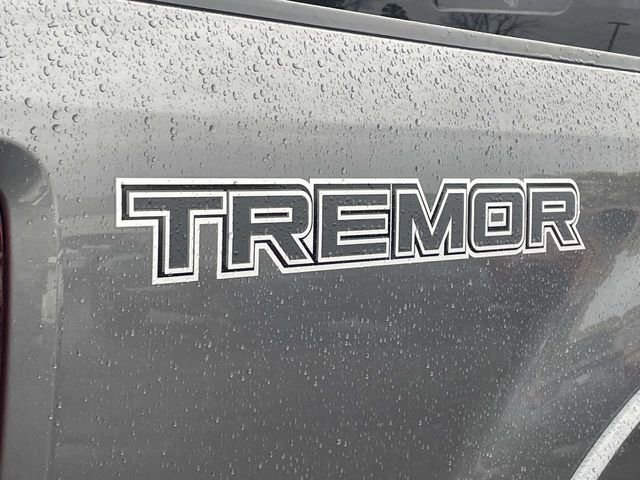 Certified 2022 Ford F250 Lariat w/ Tremor Off-Road Package image 9