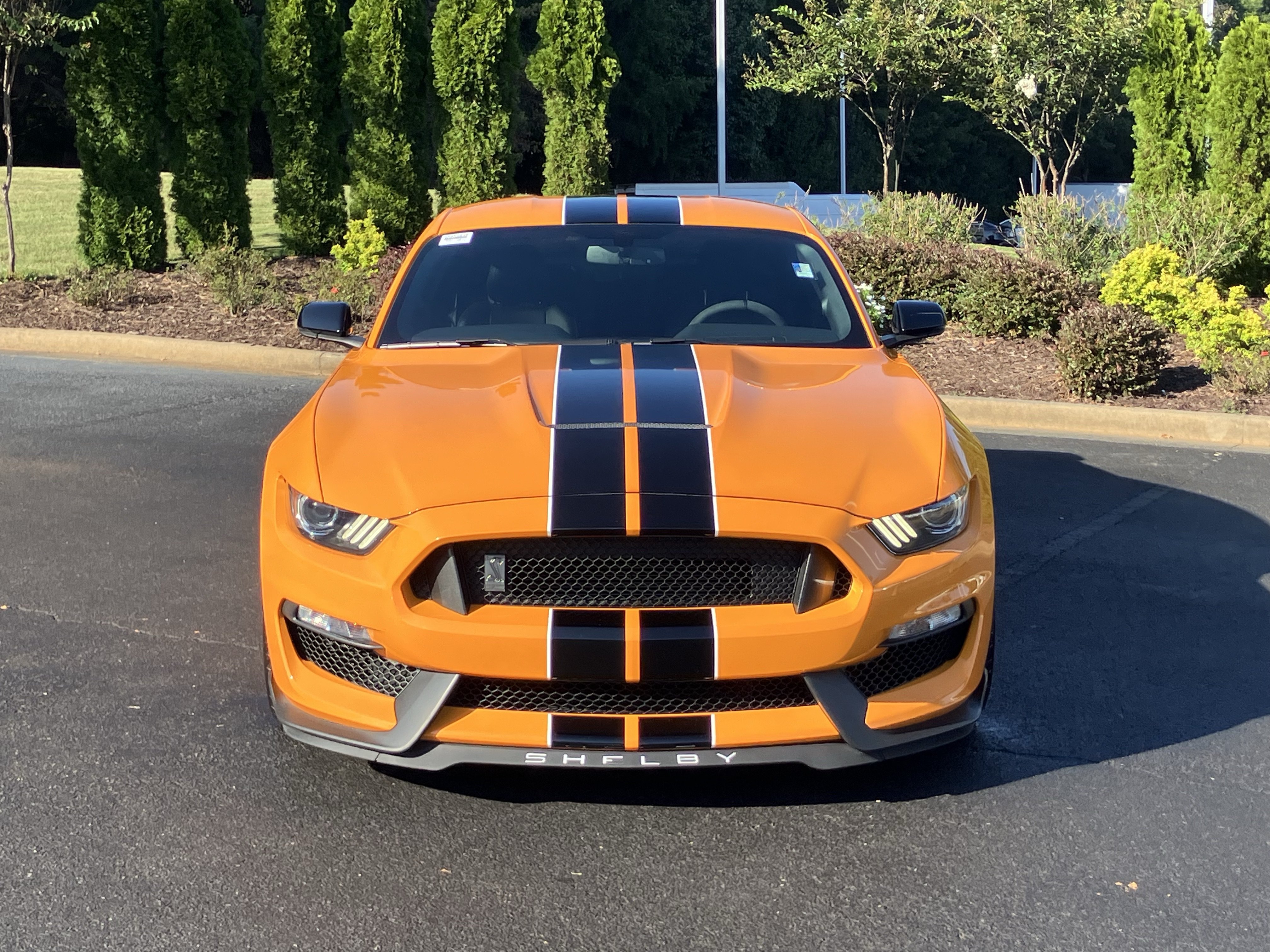 Used 2018 Ford Mustang Shelby GT350 w/ Convenience Package RWD image 3