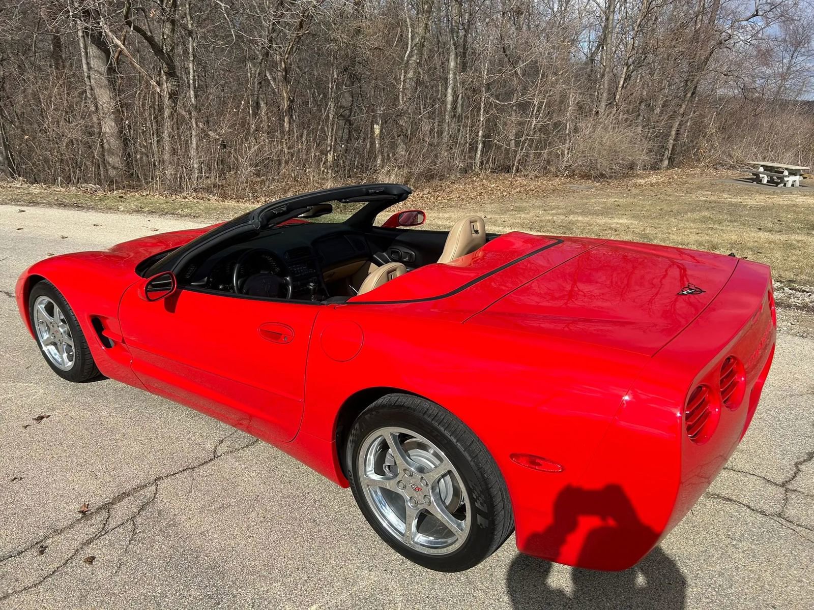 Used 2000 Chevrolet Corvette Convertible w/ Memory Pkg image 3