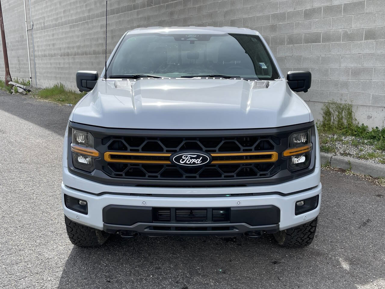 Used 2025 Ford F150 Tremor w/ Tow/Haul Package AWD/4WD image 3