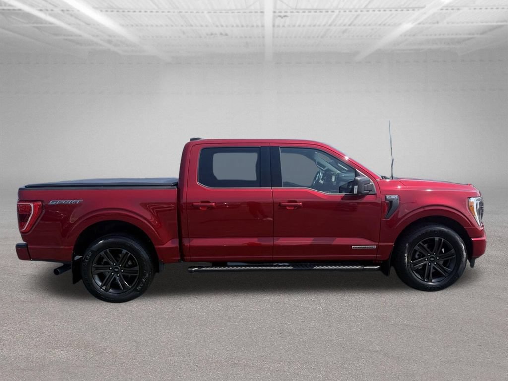 Used 2021 Ford F150 XLT w/ Equipment Group 302A High RWD image 3