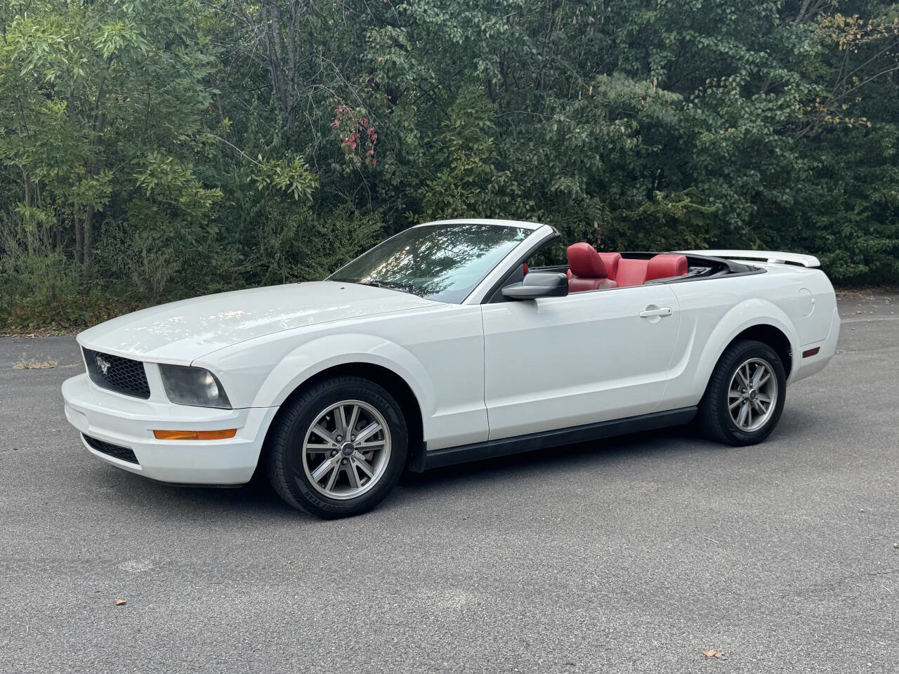 Used 2005 Ford Mustang Premium image 3