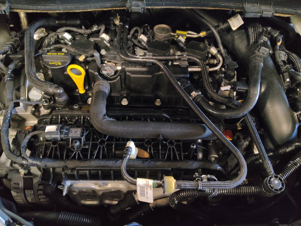 Used 2019 Ford Escape SEL FWD image 30