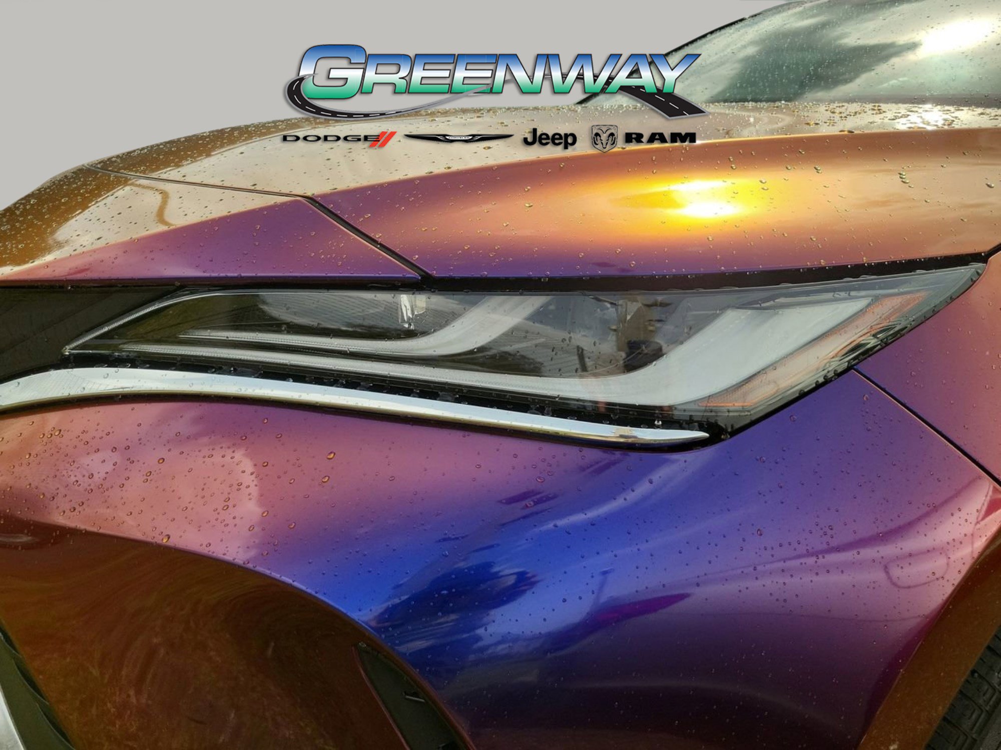 Used 2024 Toyota Venza Limited image 5