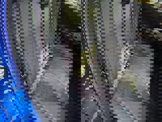 Used 2024 Acura RDX A-Spec image 21