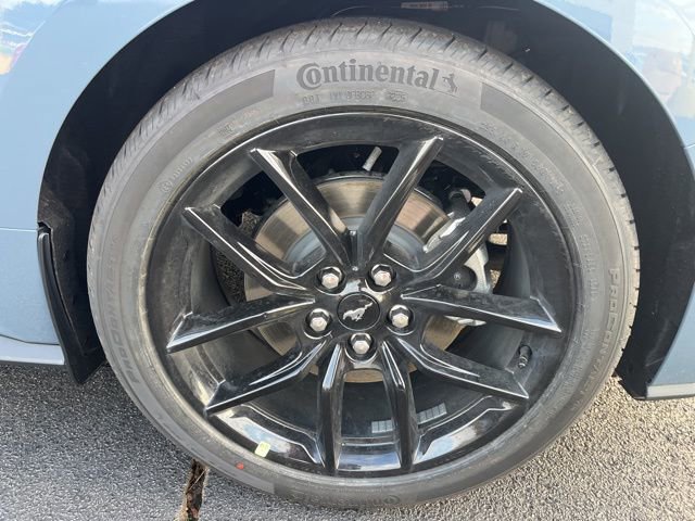 New 2026 Ford Mustang Coupe w/ Mustang Nite Pony Package image 12