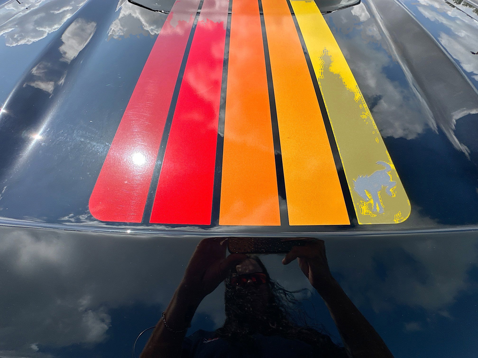 Certified 2024 Ford Bronco Sport Free Wheeling w/ Convenience Package image 38