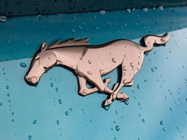 New 2026 Ford Mustang Coupe image 15