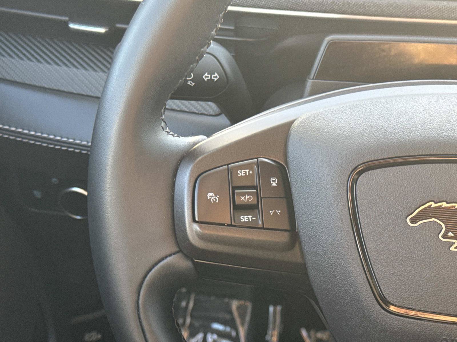 Used 2023 Ford Mustang Mach-E Premium RWD image 9