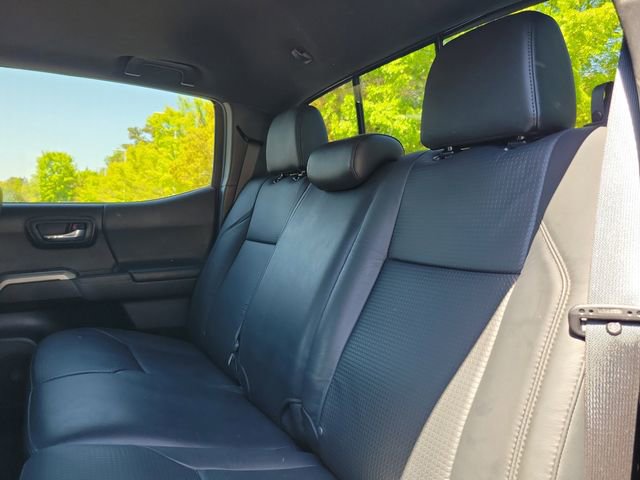 Used 2021 Toyota Tacoma Limited w/ Nightshade Package image 9