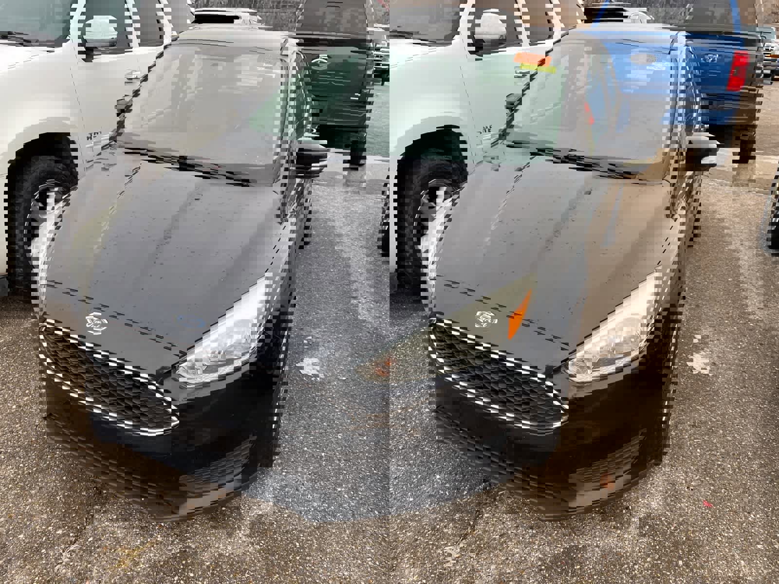 Used 2015 Ford Focus SE image 4