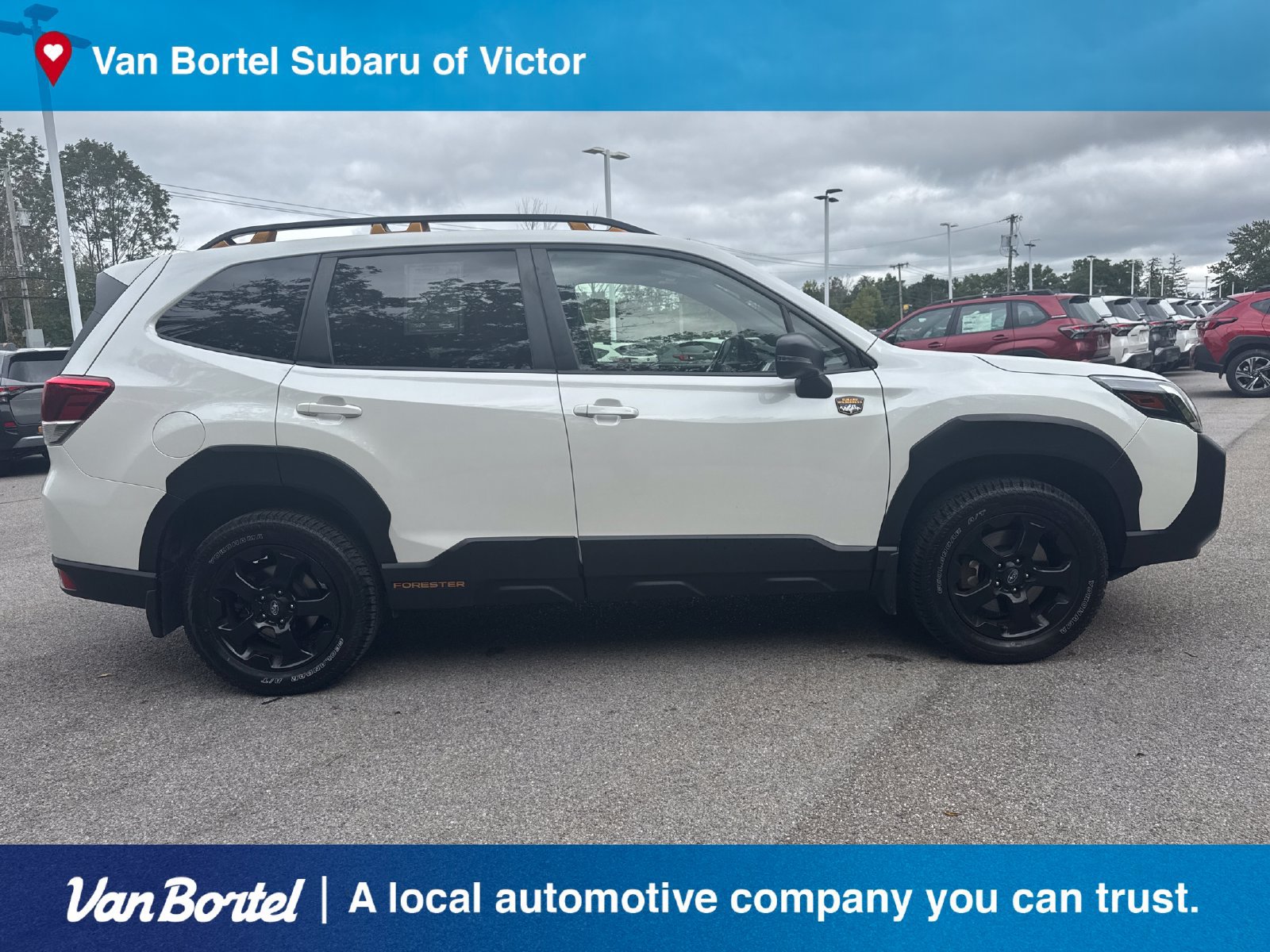 Certified 2024 Subaru Forester Wilderness AWD/4WD image 7