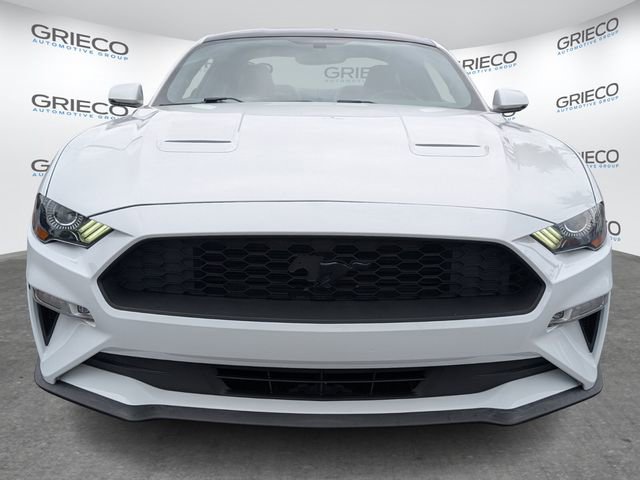 Used 2019 Ford Mustang Premium w/ Black Accent Package RWD image 2
