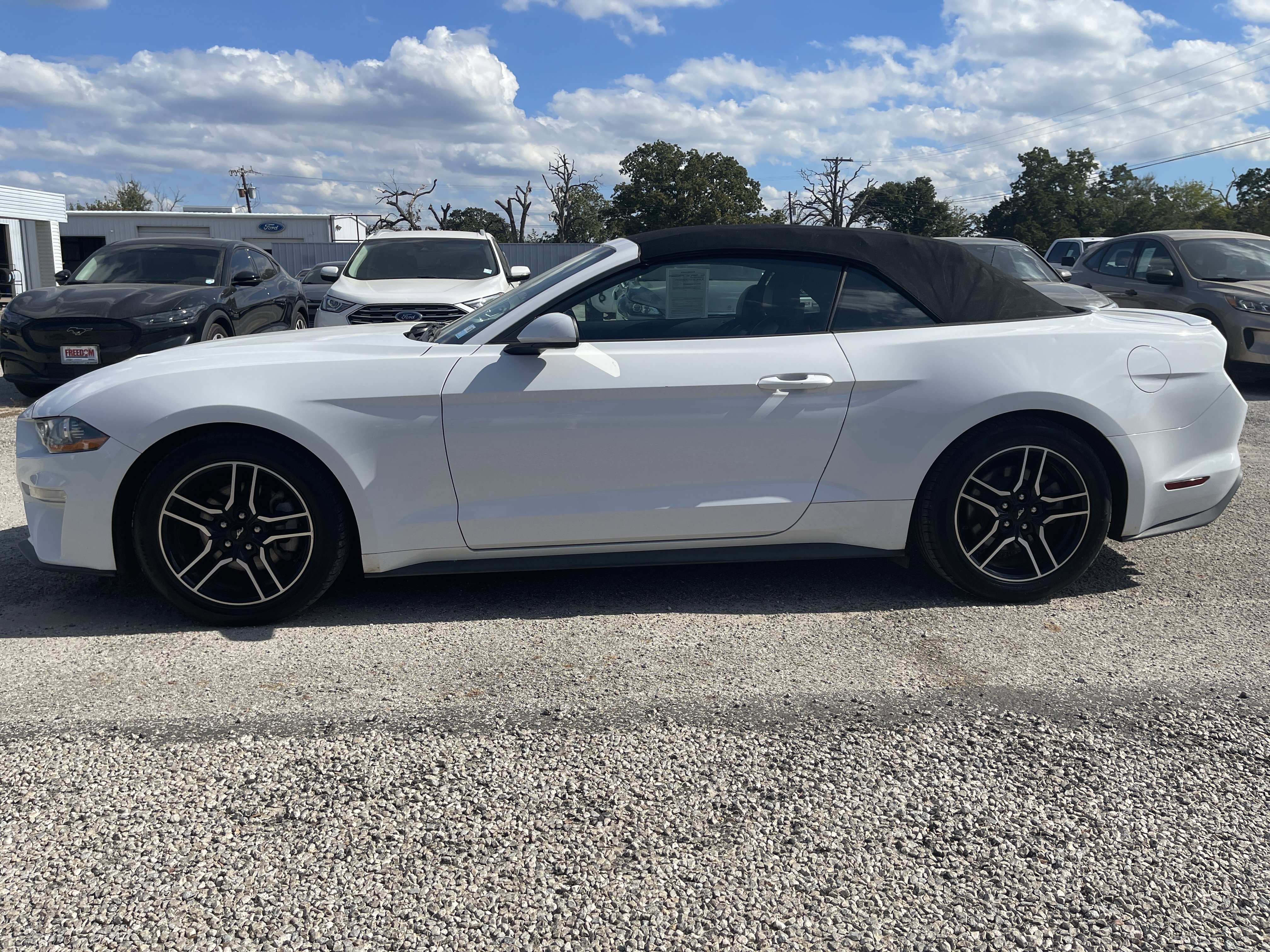 Used 2022 Ford Mustang Premium image 7