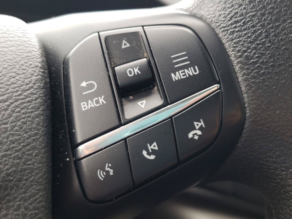 Used 2025 Ford Transit 250 Low Roof w/ Exterior Upgrade Package RWD image 19