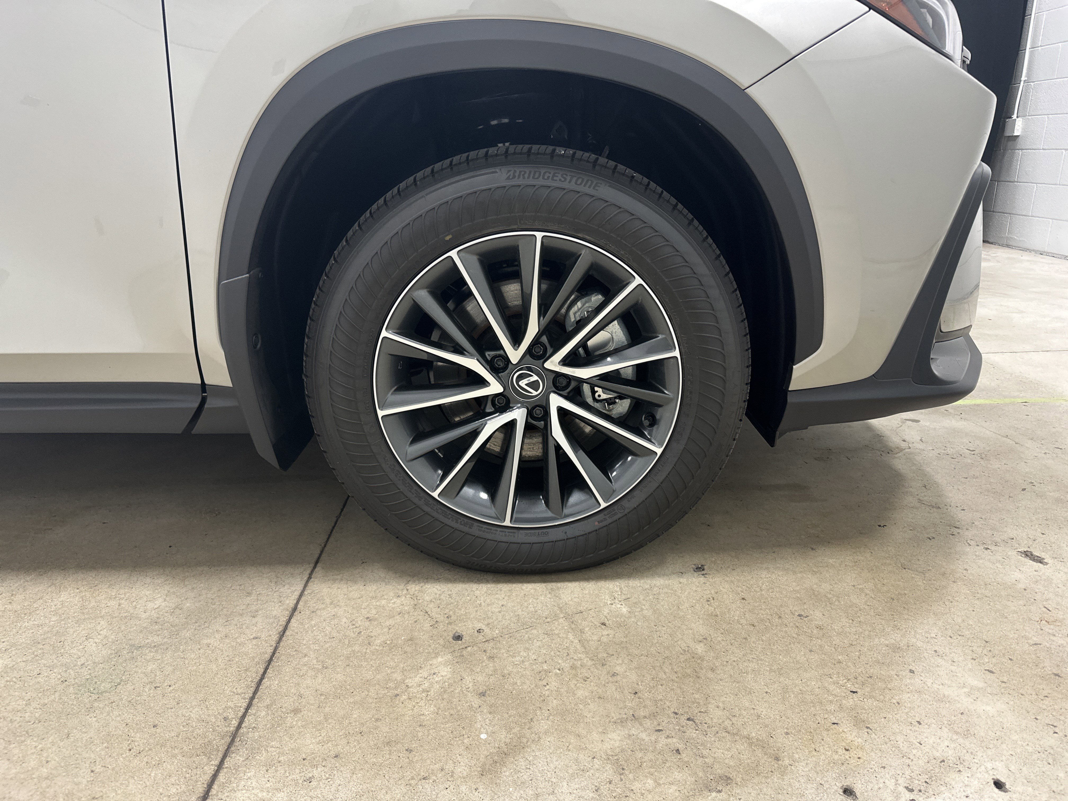 Certified 2024 Lexus NX 350h AWD w/ Cold Area Package image 13