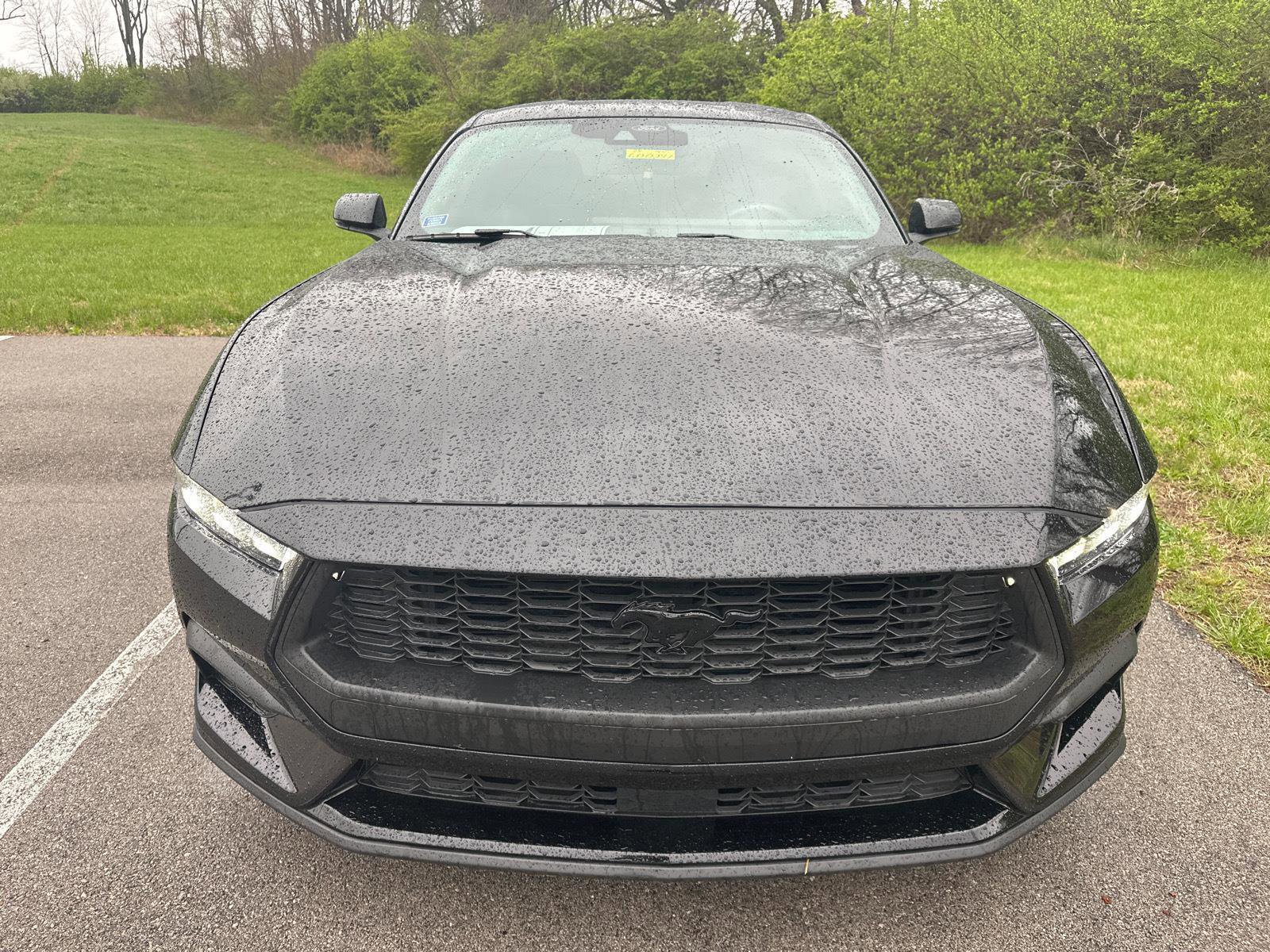 Certified 2024 Ford Mustang Premium image 9