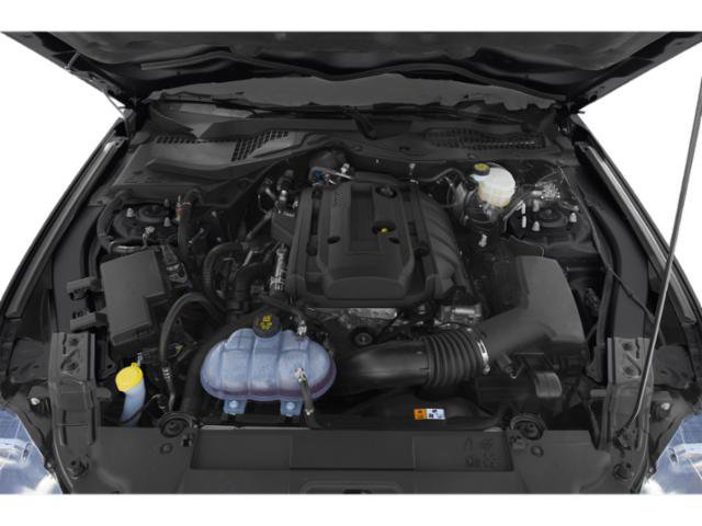 Used 2018 Ford Mustang GT Premium w/ Equipment Group 401A RWD image 12