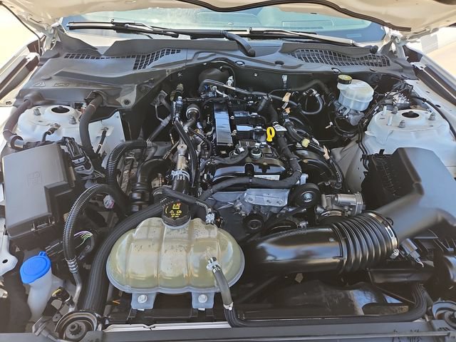 Used 2023 Ford Mustang Premium w/ Mustang Nite Pony Package RWD image 26