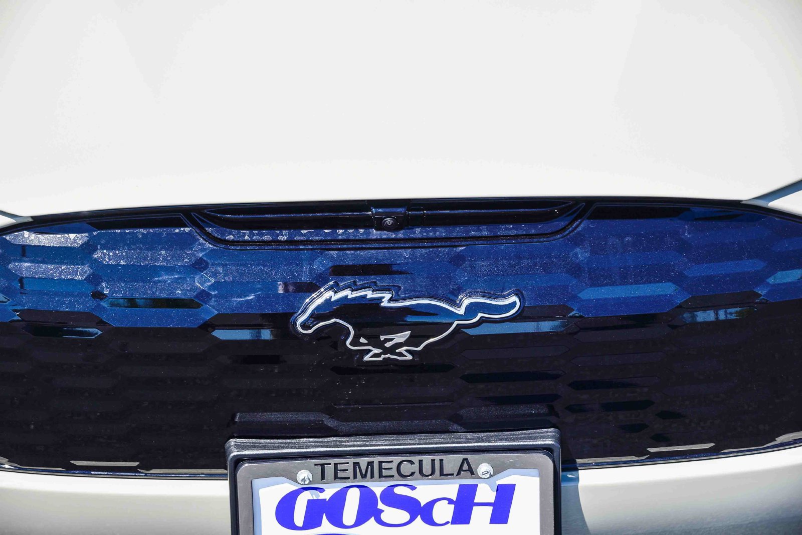 New 2026 Ford Mustang Mach-E Premium w/ Sport Appearance Package RWD image 12