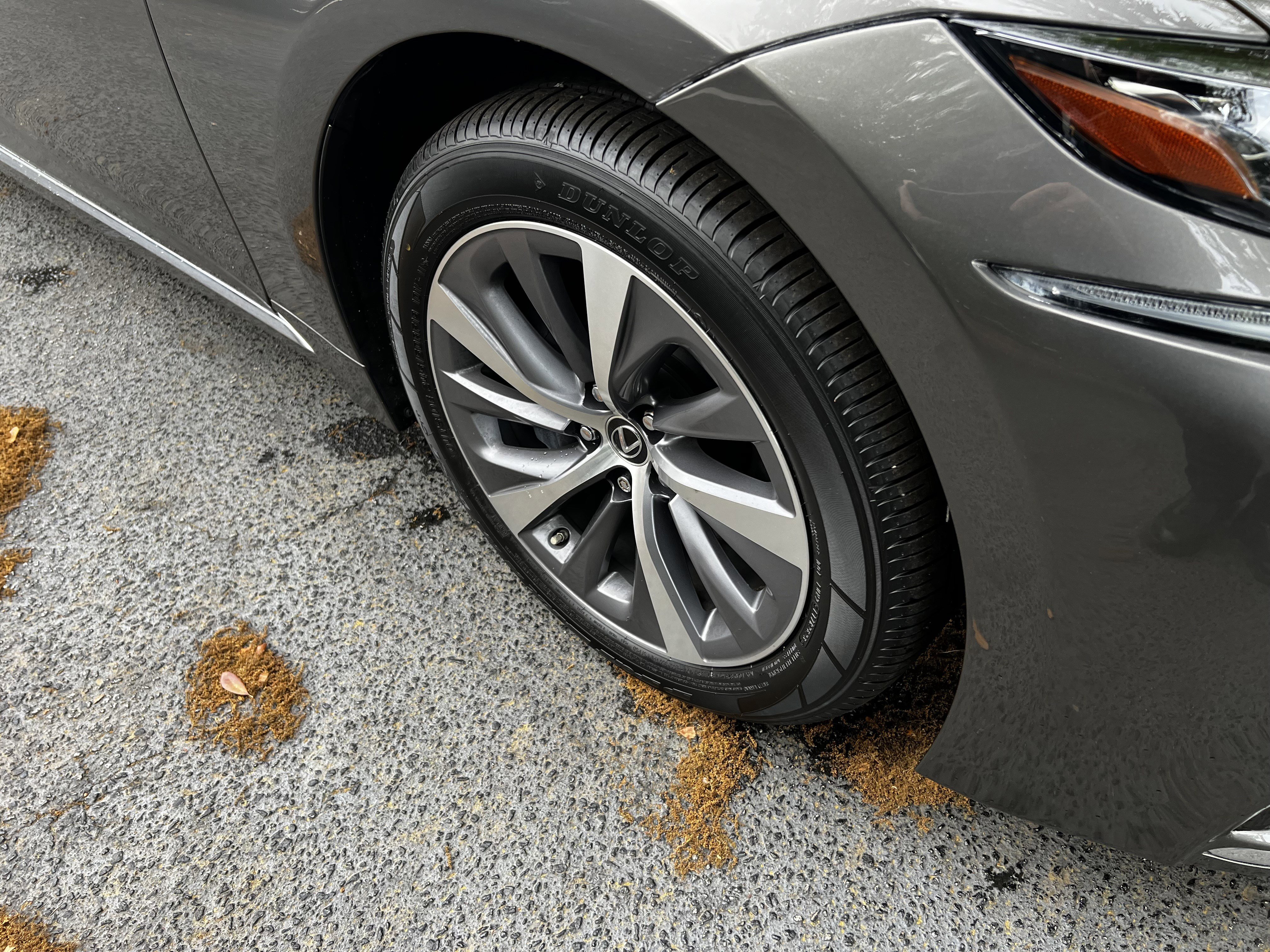 Used 2018 Lexus LS 500 AWD w/ Accessory Package (Z1) image 11