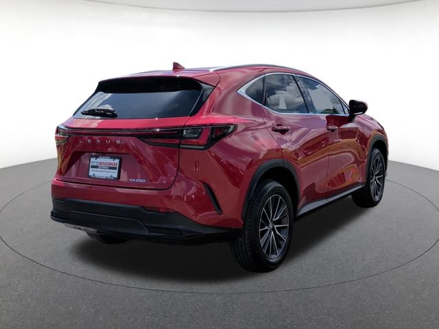 Used 2024 Lexus NX 250 FWD image 6