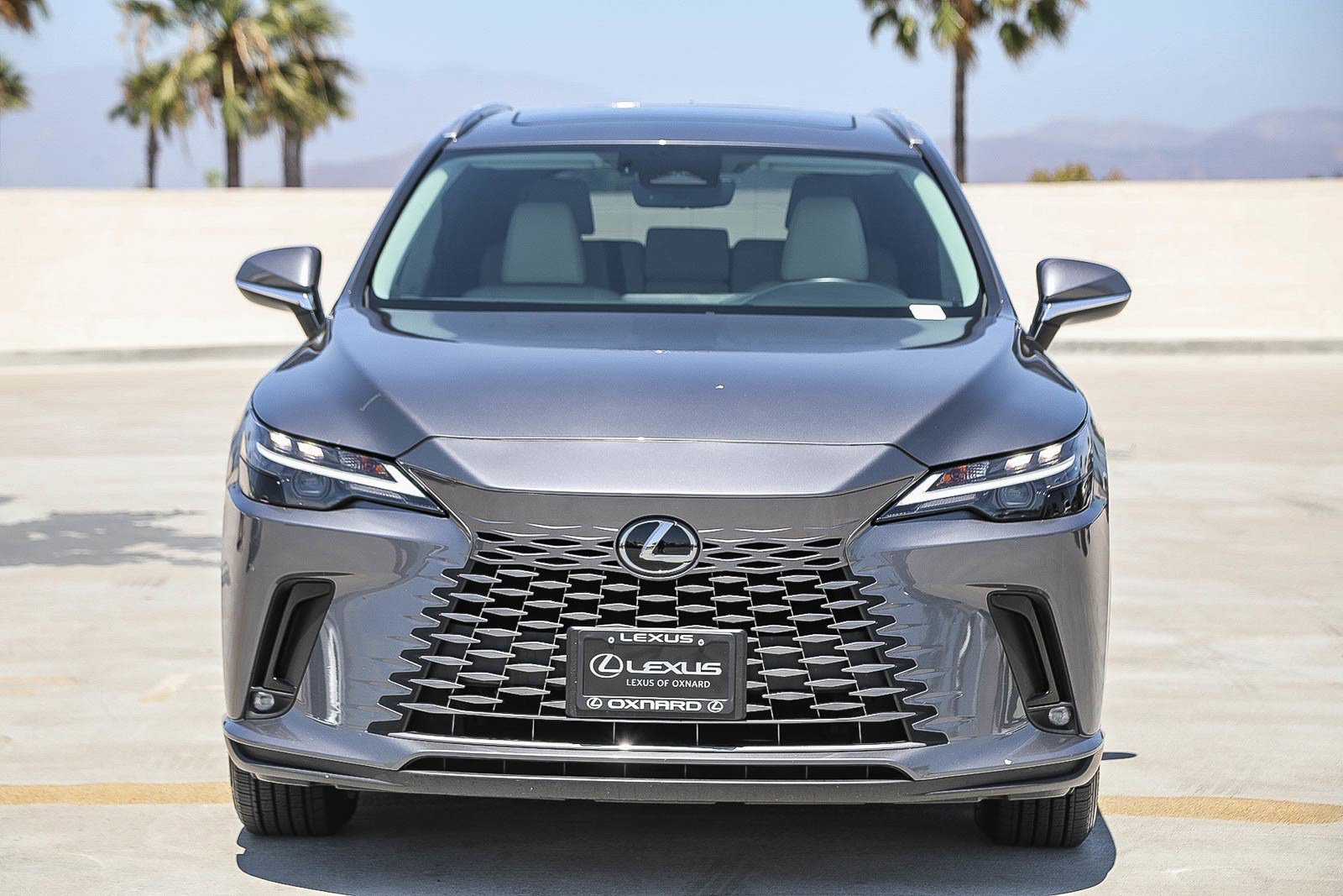Used 2023 Lexus RX 350 AWD w/ Cold Area Package image 2