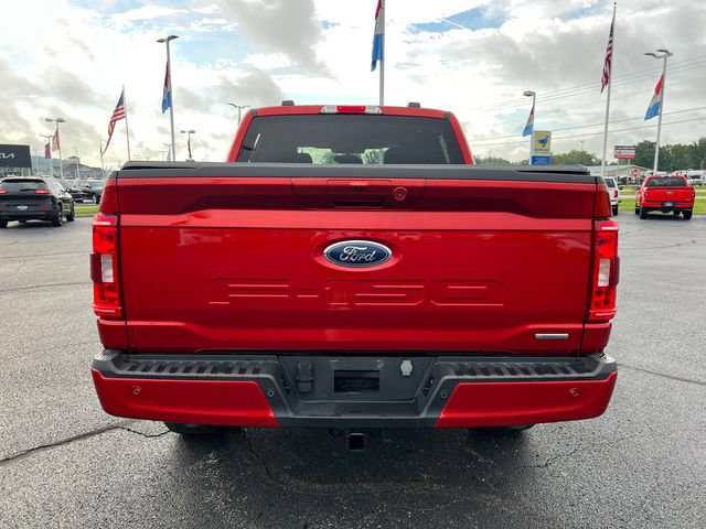 Used 2023 Ford F150 XLT w/ Equipment Group 302A High AWD/4WD image 6