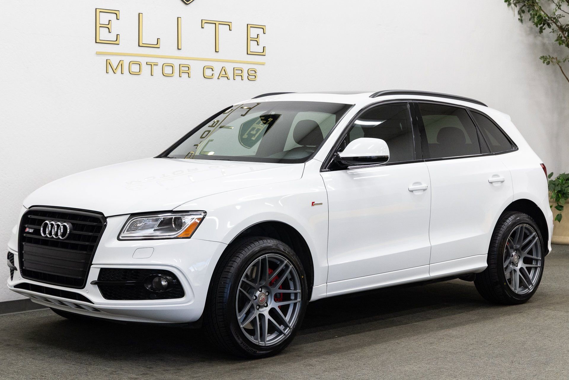 Used 2016 Audi SQ5 Premium Plus w/ Technology Package image 1