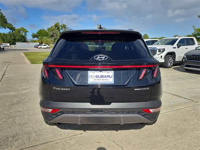 Used 2024 Hyundai Tucson Limited image 5