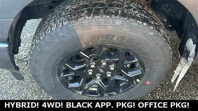 New 2025 Ford F150 XLT w/ Equipment Group 302A MID image 31