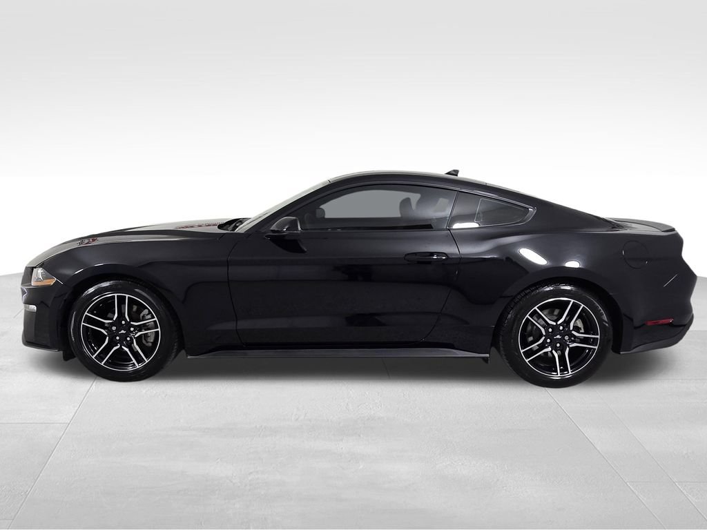 Used 2023 Ford Mustang Premium w/ Equipment Group 201A RWD image 4