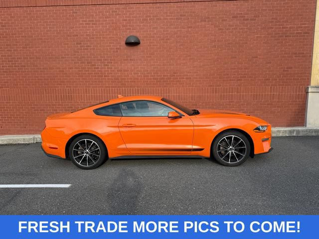Used 2020 Ford Mustang Coupe w/ Equipment Group 101A