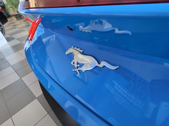 New 2026 Ford Mustang Premium image 11