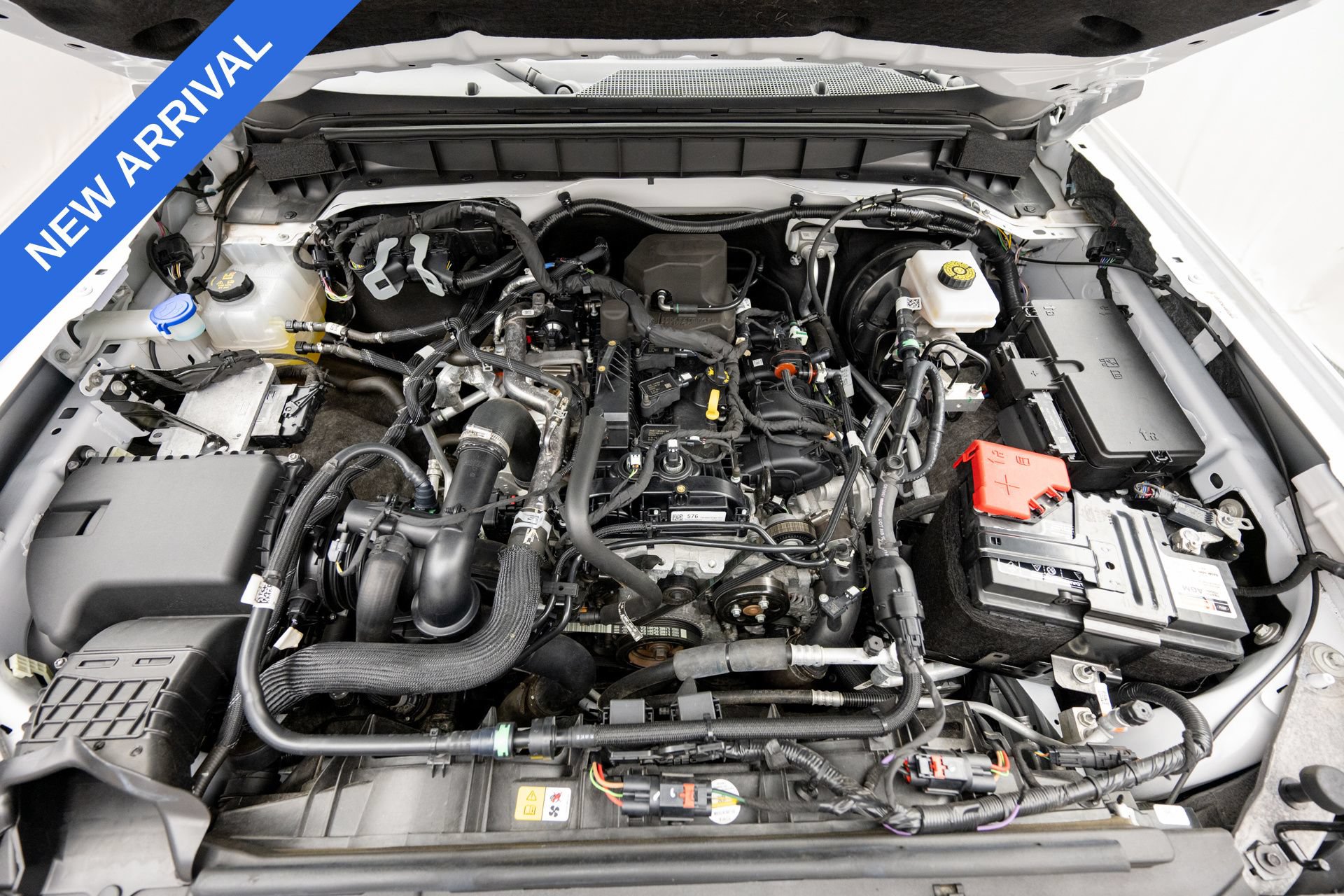 Used 2024 Ford Bronco Outer Banks AWD/4WD image 42