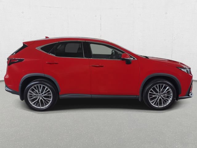 Used 2025 Lexus NX 350 AWD w/ Accessory Package (2T) image 4
