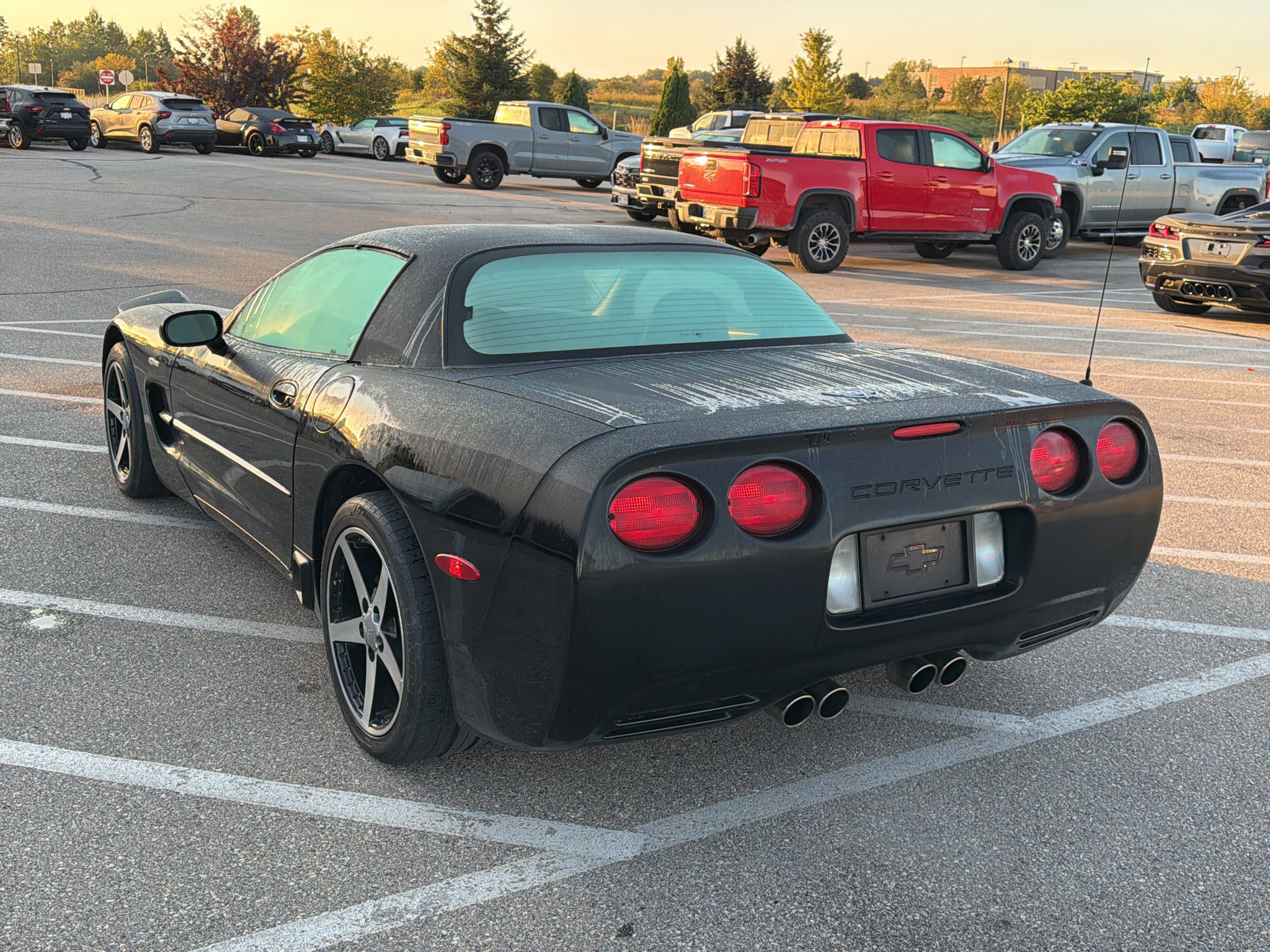Used 2003 Chevrolet Corvette Z06 w/ Memory Package, 3 Drivers RWD image 3