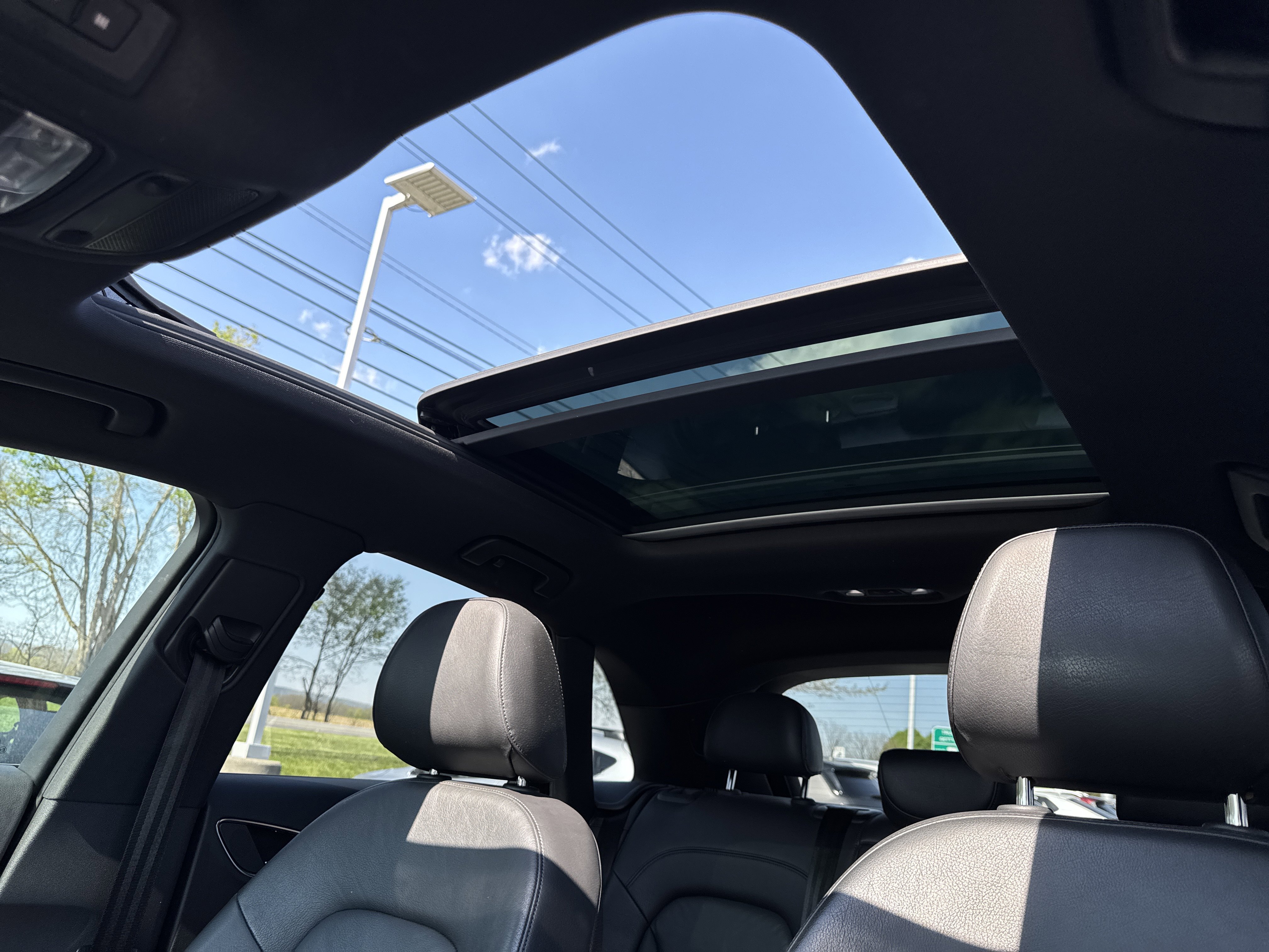 Used 2016 Audi Q3 2.0T Premium Plus AWD/4WD image 18