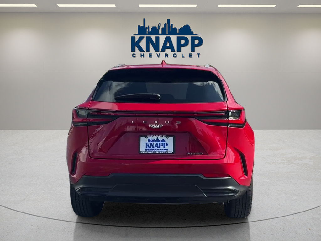 Used 2024 Lexus NX 250 FWD w/ Cold Area Package image 4
