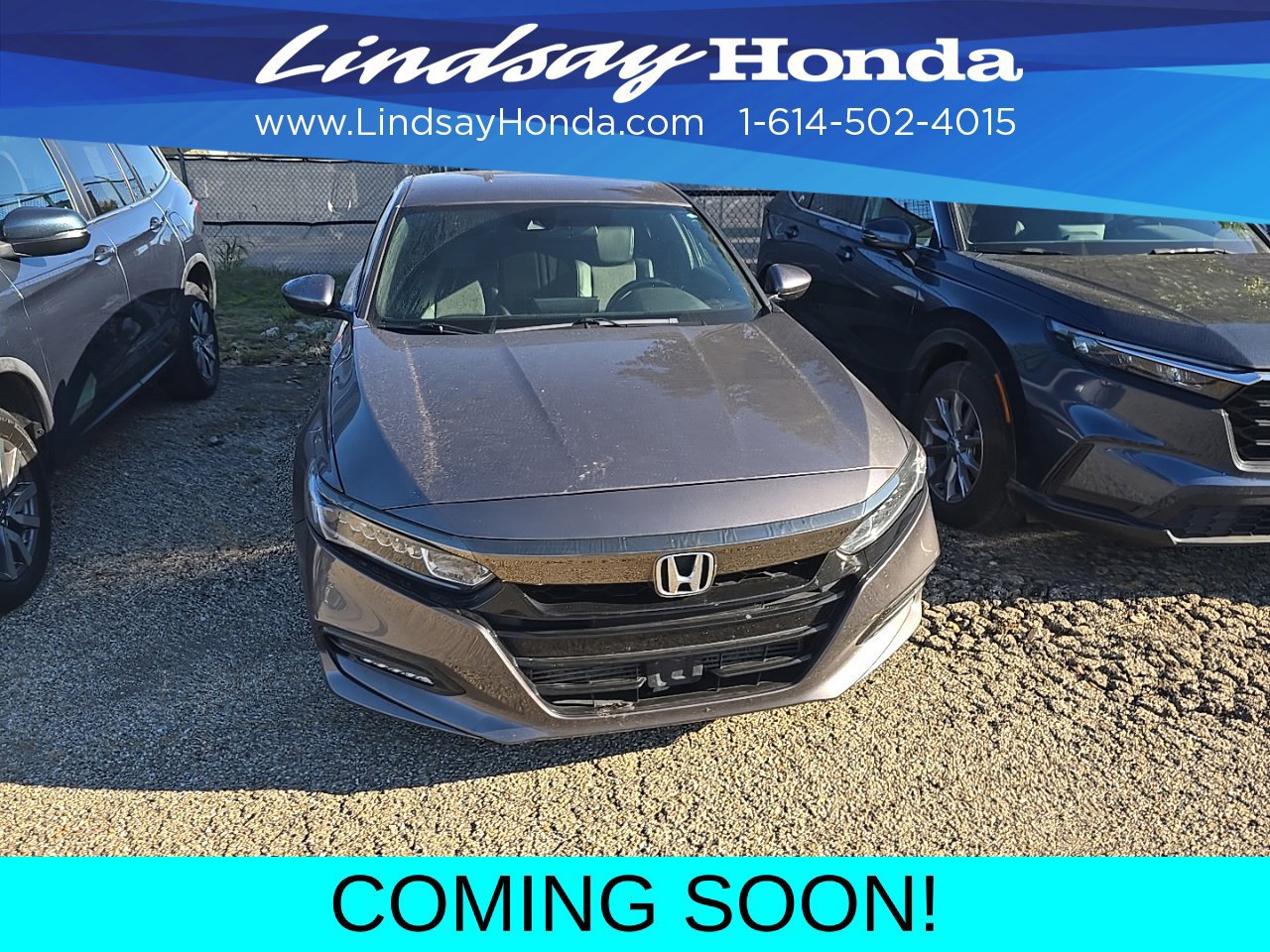 Used 2019 Honda Accord Sport image 2