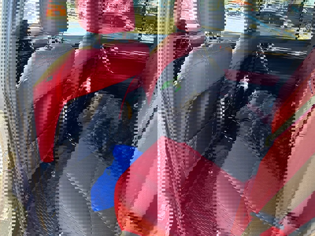 Used 2022 Lexus GX 460 Luxury w/ Off Road Package image 7