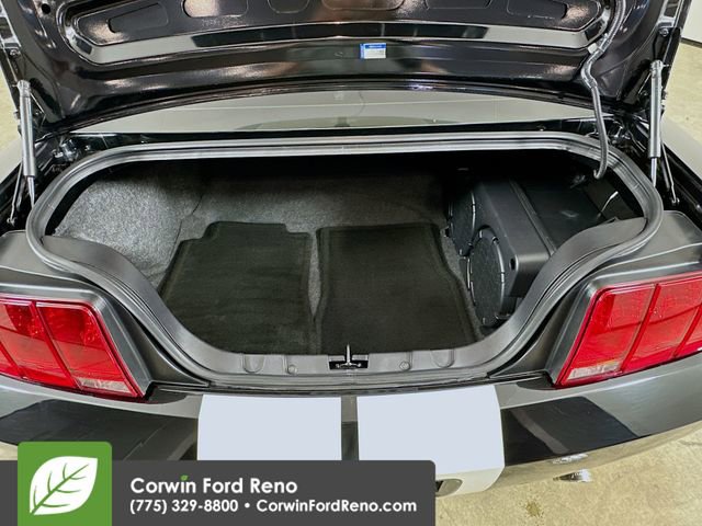 Used 2007 Ford Mustang Shelby GT500 RWD image 23