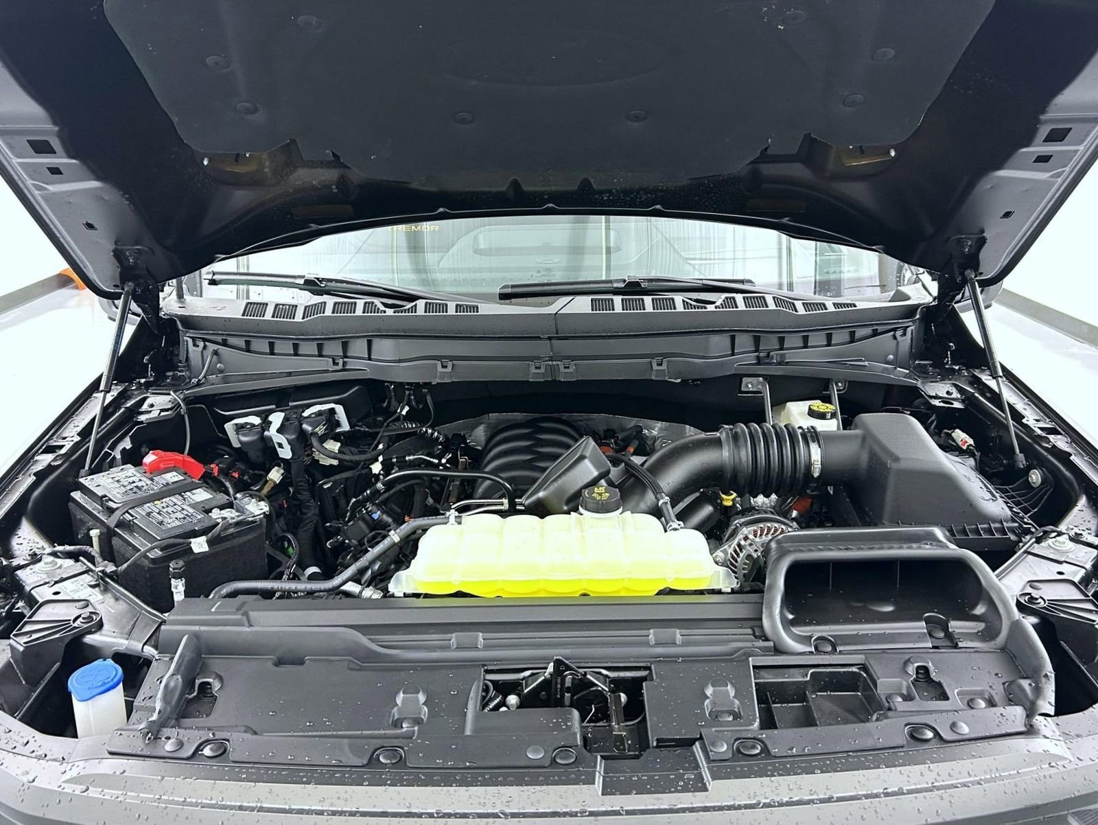 New 2025 Ford F150 Tremor w/ Equipment Group 402A High image 25