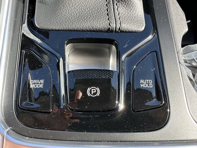 New 2026 Kia Carnival SX Prestige image 33