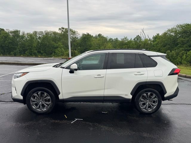 Used 2022 Toyota RAV4 XLE Premium AWD/4WD image 6