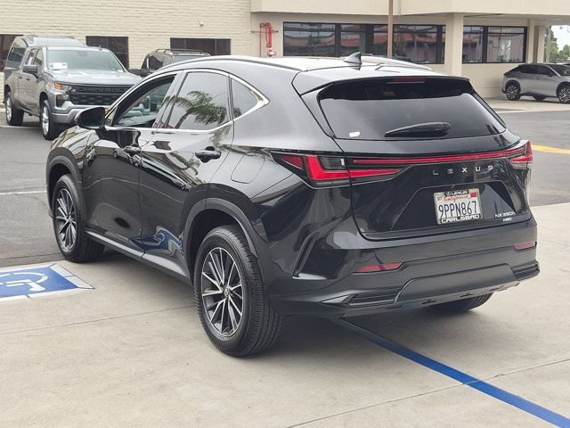 Used 2025 Lexus NX 350h AWD w/ Cold Area Package image 7