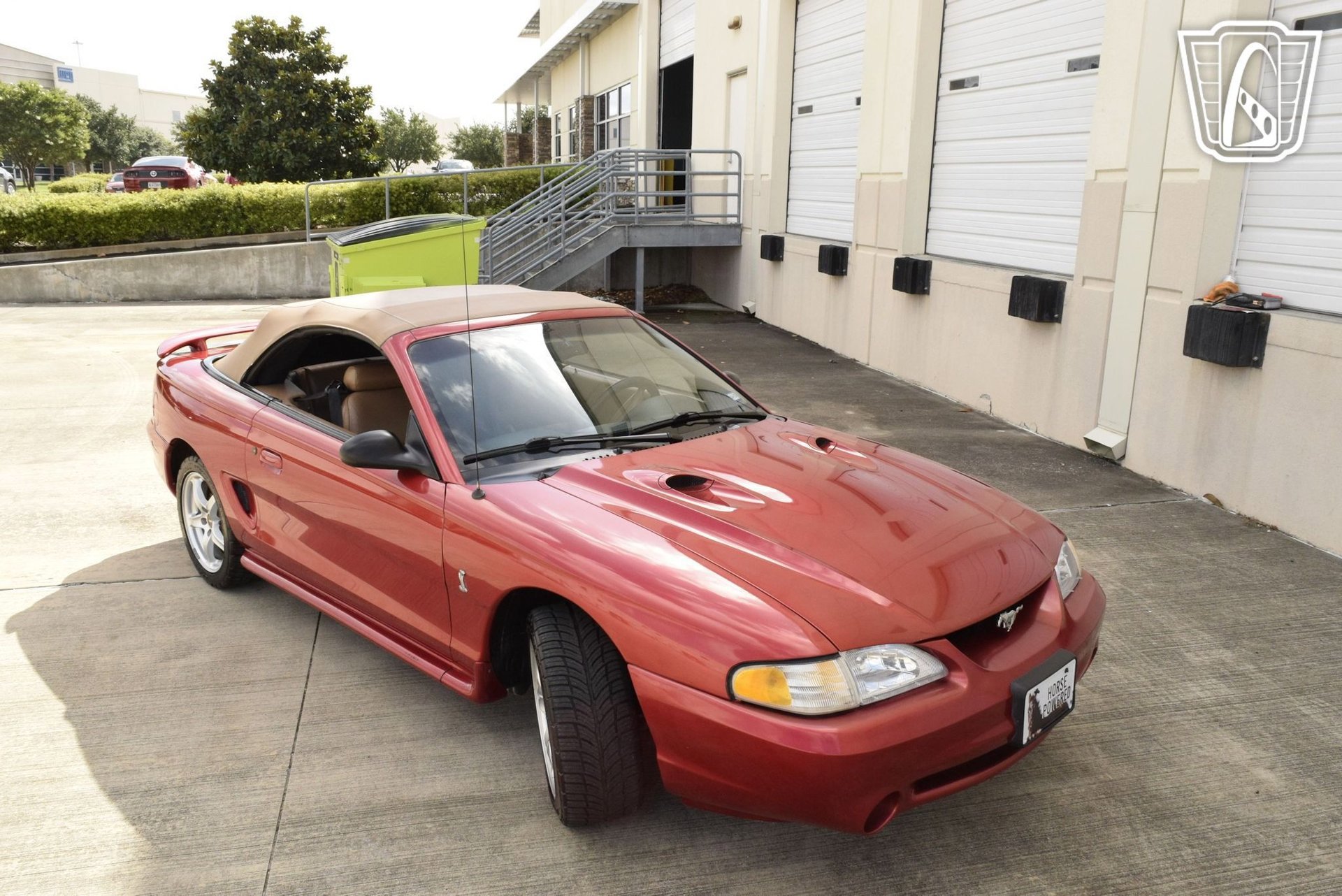 Used 1998 Ford Mustang Cobra RWD image 28
