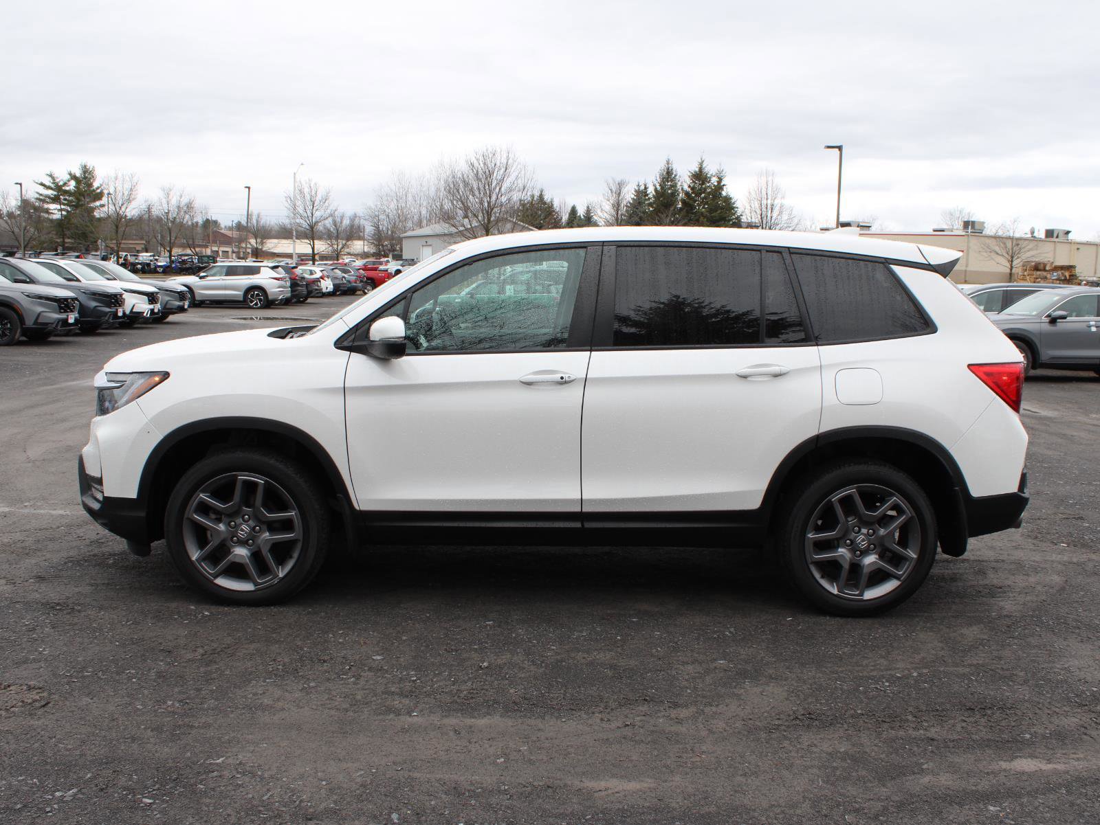 Certified 2023 Honda Passport EX-L image 5