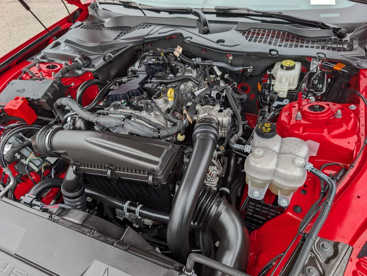 Used 2026 Ford Mustang Coupe RWD image 20