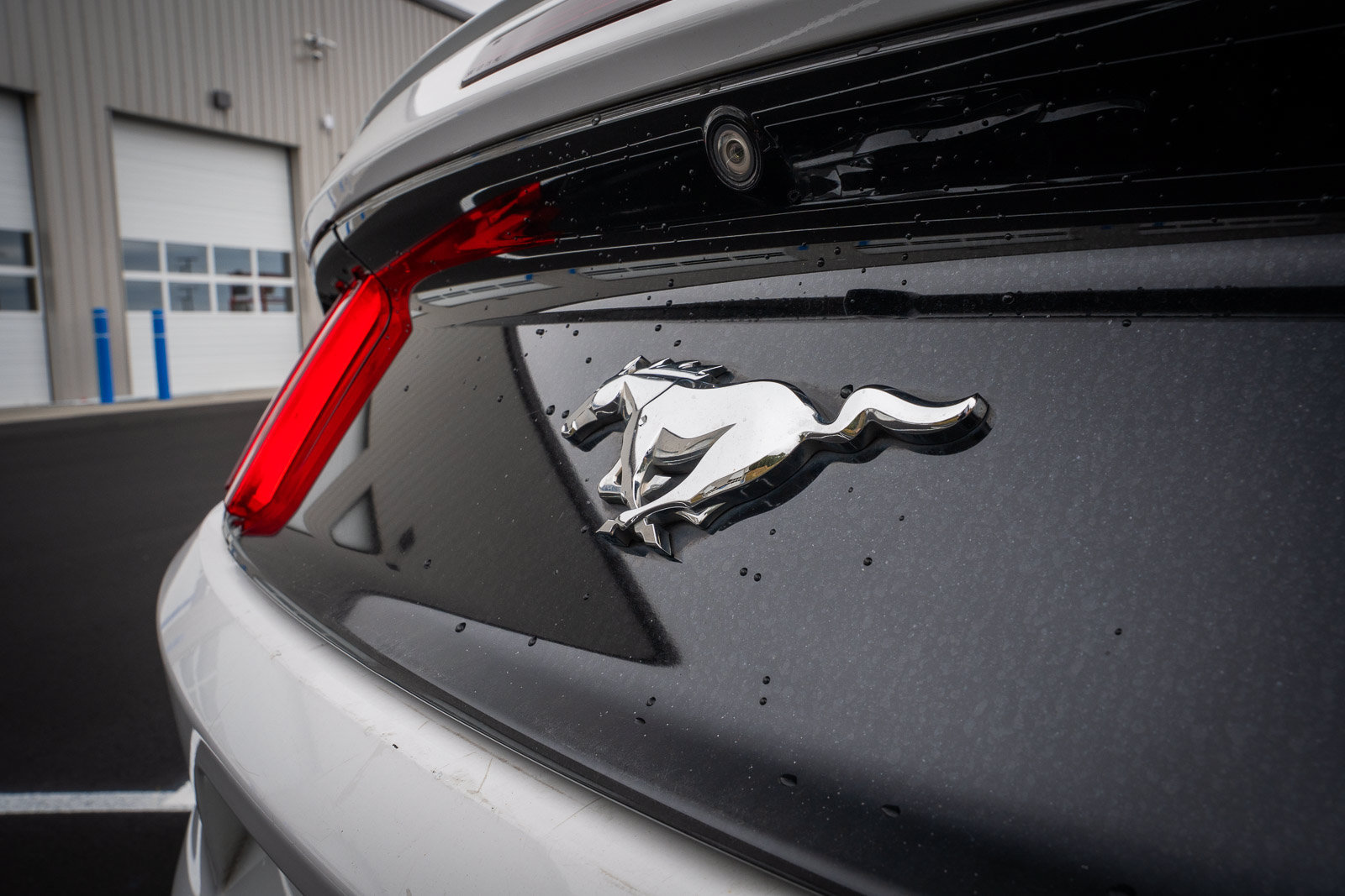 Used 2016 Ford Mustang Premium RWD image 19